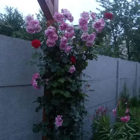 Hébergement de vacances In - Balaton 39648 *