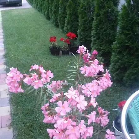 In - Balaton 39648 Hébergement de vacances